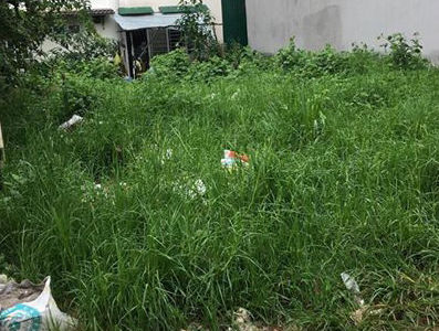 Cần Tiền Bán Gấp Lô Đất Thổ Cư Mua Định Để Dành, Diện Tích 5x24m Bao Sang Tên 