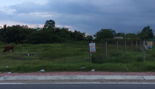 Chính Chủ Cần Tiền Trả Nợ Bán Gấp 330M2 Có 200M2 Thổ Cư, Giá 4 Tỷ