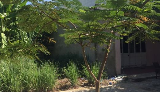 Cần Bán Đất Đường Phan Khôi, Hòa Xuân, Cẩm Lệ, Đà Nẵng.