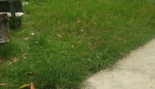 Sang Gấp 1257 M2 Mặt Tiền Đường Ô Tô Hưng Long, Bình Chánh