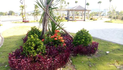 Tôi Cần Tiền Bán Gấp Lô Đất Đường Nguyễn An Ninh Trục Kết Nối Ra Biển 300m, Giá 740 Triệu