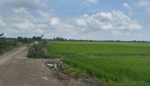 Bán 2 Lô Đất Nông Nghiệp Huyện Hóc Môn 450 K/m2