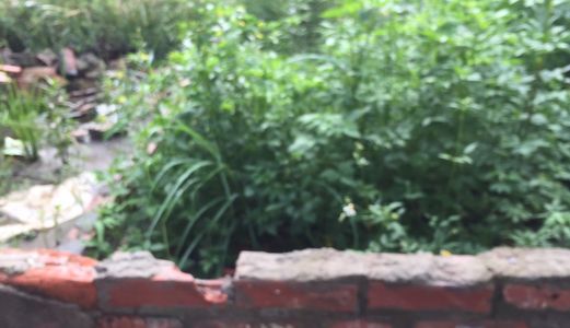 Tôi Có Mảnh Đất Mua Để Đấy.Bây Giờ Bán Lại Ở Yên Nghĩa-Hđ-35M-750Tr-Sđcc