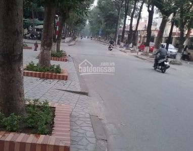 Bán Biệt Thự Liền Kề Khu Đô Thị Định Công, Quận Hoàng Mai, Hà Nội