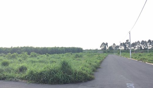 Chính Chủ Bán Đất Mặt Tiền Đường Bắc Sơn - Long Thành, Biên Hòa Giá Chỉ 380Tr/nền. Shr, Thổ Cư