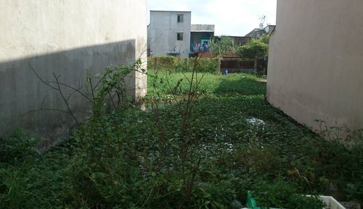 Đất Thổ Cư Hẻm 111 Đường Lê Đình Cẩn, Dân Cư Hiện Hữu