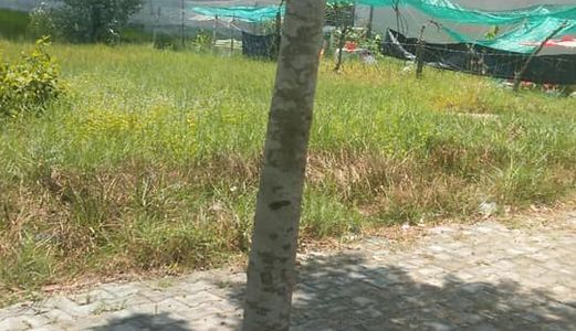 Cần Bán Gấp Lô Đất Trong Khu Dân Cư Mỹ Hạnh Hoàng Gia Giá 400Tr Đã Có Sổ Hồng Diện Tích 5X17M 