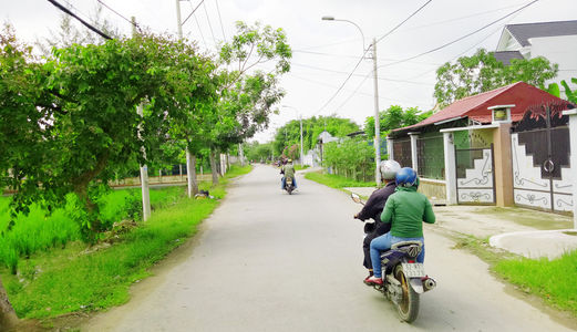 Kẹt Tiền Bán 1355m2 Mt Song Hành Ql50, Xây Xưởng Tại Bình Chánh