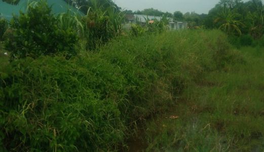 1Tr/m2 Đất Mặt Tiền Đường Qui Đức, Bình Chánh.