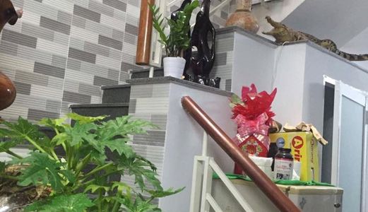 Bán Nhà Mặt Tiền Đường Cầm Bá Thước, Mt: 4m, Chỉ 3,3 Tỷ. (Tl).