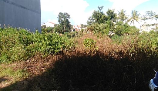 Bán Đất Thổ Cư Hẻm Đỗ Xuân Hợp, Giá 620 Tr
