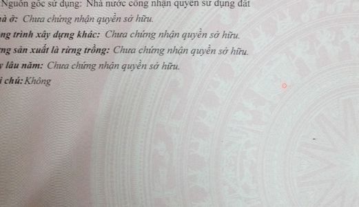 Bán Đất Phố Cổ Hội An Cách 5 Phút Đi Bộ Là Tới Vị Trí Còn 1 Lỗi Duy Nhất