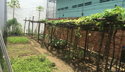 Tôi Có Lô Đất Cần Bán Tl41 Quận 12