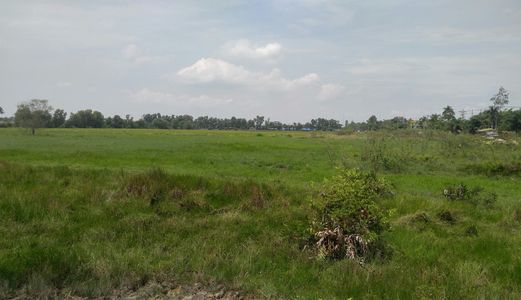 Bán 1 Lô Đất Nông Nghiệp Huyện Hóc Môn 450K/m2