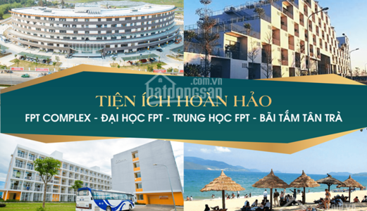 Mở Bán Đất Nền Ven Sông Cổ Cò, Hấp Dẫn Đầu Tư Giá Rẻ Bất Ngờ