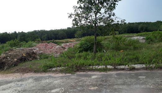 Đất Nền Thanh Lí, Khu Đô Thị Mới Bình Dương, Giá Tốt Cho Nhà Đầu Tư