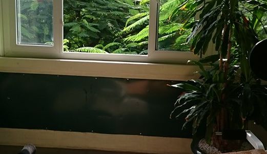 Cho Thuê Nhà Mặt Phố Trần Tử Bình, Cầu Giấy, S = 50M2 X 4 Tầng. Giá 20 Triệu/th - Lh 0982445558