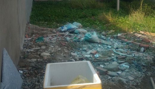 Cần Tiền Bán Gấp 1800 M2 Đất Mặt Tiền Đường Nhựa 12M Xã Qui Đức, Bình Chánh.