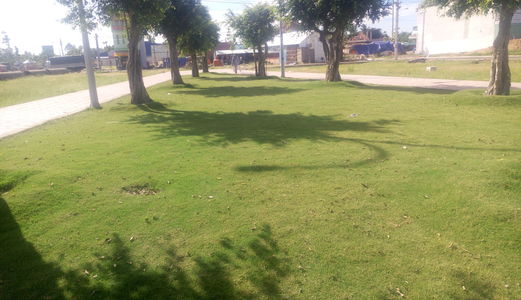 Cần Sang Nhượng Lô Đất Mặt Tiền Ql91 Chợ Cái Sao - Mỹ Thới