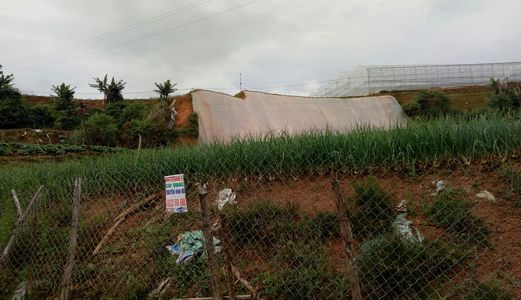 Bán Đất Mặt Tiền Tô Hiệu, Phường 7, Đà Lạt_Giá 3.2 Tỷ