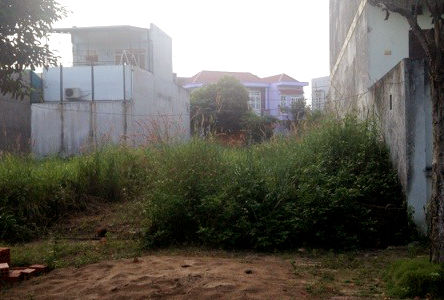 Sacombank Thanh Lý 10 Lô Đất Thổ Cư Và 2 Lô Đất Mặt Tiền Chợ Khu Vực Bình Chánh