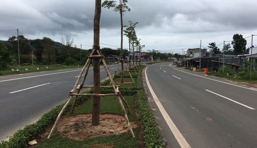 Bán Đất Nền Đầu Tư Du Lịch Phú Quốc, Sổ Đỏ Trao Tay, Gía Chỉ Từ  570 Triệu/nền, Ngay Dương Đông, Lh