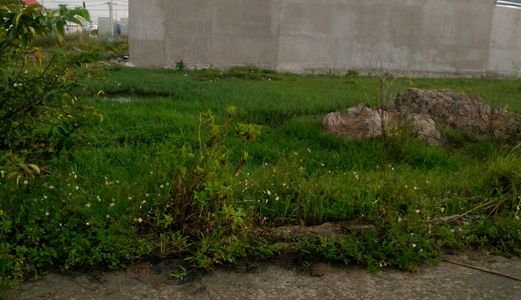 Bán Đất Thổ Mặt Tiền Nhựa, 10X25M Đường A28A Kdc Tân Đức. Giá 1 Tỷ 150