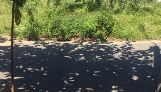 Cần Bán Đất Liêm Lạc 20, Hòa Xuân, Cẩm Lệ, Đà Nẵng. 