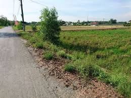 Bán Gấp 720M2 Đất Bình Chánh Song Hành Ql 50 Chỉ 2.2 Tr/m2