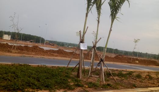 Đất Nền Trung Tâm Quận 9, Lò Lu Nối Dài, Sổ Riêng