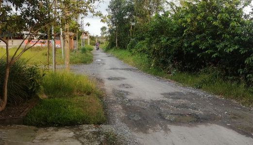 Đất Thổ Vườn Huyện Cần Giuộc, 57M2 Vườn 84M2 Thổ Giá 750 Triệu