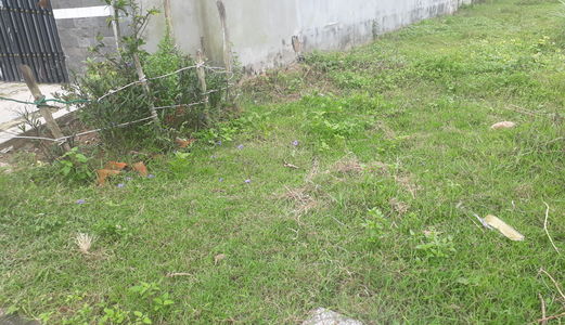 Tôi Cần Tiền Kinh Doanh Bán 55M2 Đất Ở 18 Đường 6C, Long Bình C, Q.9