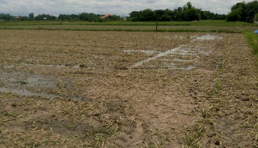 Đất Diện Tích Lớn 10- 200.000M2. Huyện Đức Hoà - Long An. 130K/m2