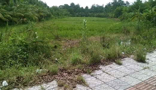 Cho Thuê Mặt Bằng Trên 300M2 Đường Lớn Giá Dươi 10 Triệu