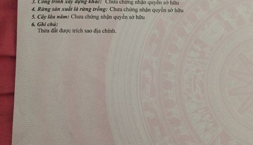 Đất Thổ Cư 100% Đường Lý Thái Tổ Xã Phú Hữu-68M2-Cách Phà 1.5Km.