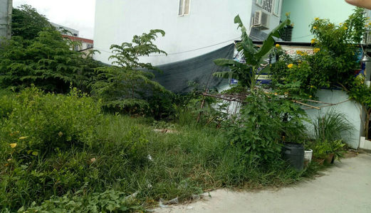 Đất Thổ Cư 90M2 (4X17) 2 Mặt Tiền Đường Hẻm 2M, Quốc Lộ 50 Bình Chánh 1,25 Tỷ