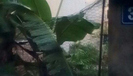 Hot Hot Cần Bán Đất Tây Mỗ Dt 40M2 Giá 1.04 Tỷ