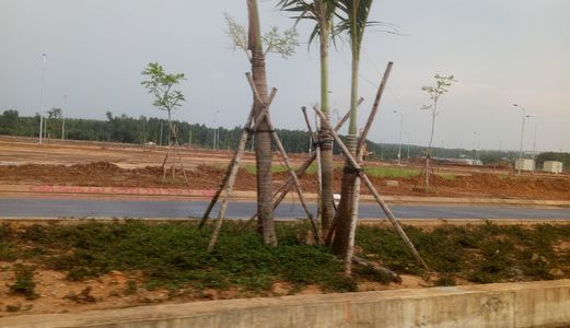 Lô 79M2  Ngay Chợ Long Trường. Nguyễn Duy Trinh Q9. Sổ Riêng