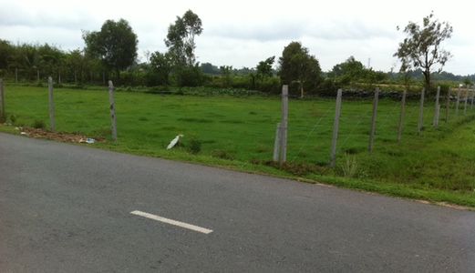 Bán 10-40.000M2 Đất Mặt Tiền Đường N2 - Đức Hoà. Giá 560K/m2