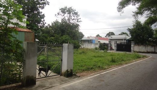 Đất Thổ Cư 89M2, Nở Hậu 8M,2 Mặt Tiền Đường Hẻm 2M, Quốc Lộ 50 Bình Chánh 1,3 Tỷ