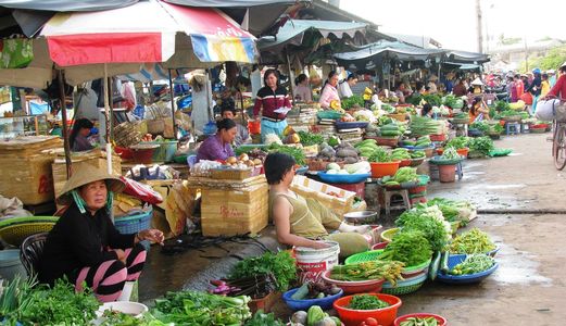 Cần Tiến Bán Nhanh Lô Đất Phía Sau Khu Chính Trị Điện Ngọc Điện Bàn Chỉ 400 Tr