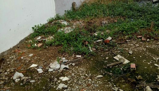 Đất Đẹp, Bán Gấp 100M2, Đất Thổ Cư, Ptm Phú Mỹ Dinh, Xã Tân Kim, Huyện Cần Giuộc, Long An