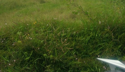 Bán Gấp 600M2 Đất, Giá: 2,3 Tỷ, Mặt Tiền Đường Hưng Long-Quy Đức, Bình Chánh.