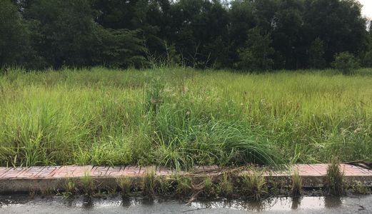 Đất Mt Lộ Giới 50m,thổ Cư 100%, Shr, Xdtd, Lh:0938.369.549.