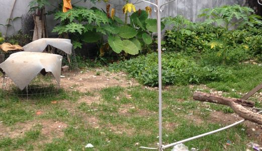  230Tr/4X15 Thổ Cư 100%,Nhơn Trạch,(Đại Phước- Cách Phà 2Km,) Sổ Riêng, Lý Thái Tổ Vào Thẳng 6M, 