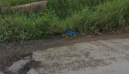 Cần Sang Lại 1000 M2 Đất Xã Tân Quý Tây, Bình Chánh.