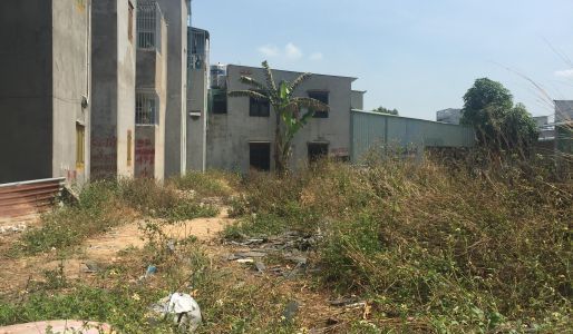 Ngân Hàng Thanh Lý Gấp Một Số Đất Thổ Cư  Bình Dương Giá Rẻ, Thổ Cư 100%, Shr Từng Nền, Hỗ Trợ Vay 