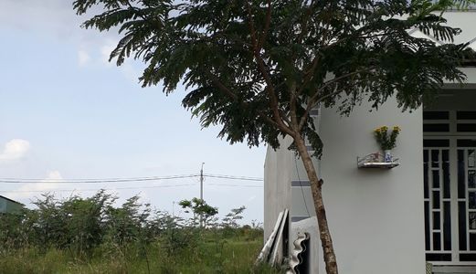 Cần Sang Gấp Lô Đất Gần Đường Nguyễn Văn Tạo 5*18m -680 Tr Có Shr Nhà Bè