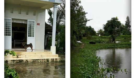 Đất Vườn Ao Nuôi Cá Bống Tượng – Nhà Ở Kiên Cố Còn Mới