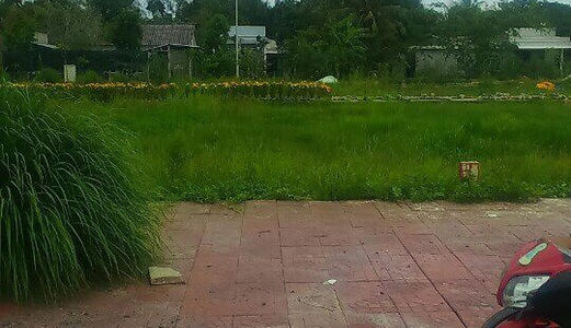 Cho Thuê Đất Trống Khu Dân Cư Nam Long Giá Dưới 10 Triệu
